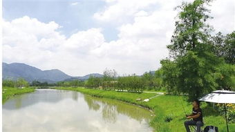 從昔日洼地到今日景區(qū) 村企抱團(tuán)，繪就旅游開發(fā)新畫卷