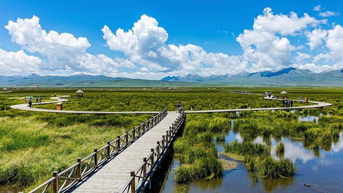 旅行社服務(wù)行業(yè)與旅游開發(fā)的融合發(fā)展趨勢